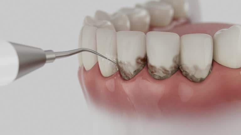 Reliable Dental contractor in Lexington, MI by Dentist Open Now